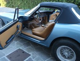 FERRARI 275 SPIDER NART